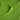 LEFRANC BOURGEOIS EXTRA-FINE OIL COLOUR CADMIUM-FREE GREEN LIGHT HAND PAINTED [SWATCH]